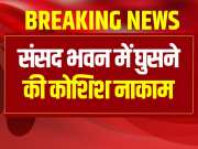Sansad Bhawan News Attempt to enter Parliament House failed 3 arrested