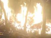 Jehanabad News: जहानाबाद में बांसवाड़ी में लगी भीषण आग, दर्जनों पेड़ जलकर हुए स्वाहा
