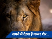 Swapan shastra: सपने में शेर देखना किस अनहोनी का है संकेत, जानें क्या कहता है स्वप्न शास्त्र 