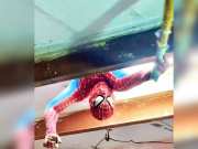 Viral Video jaipur Spiderman cleaned cobwebs by hanging upside down from ceiling