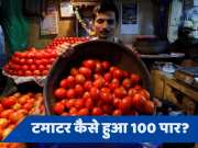 why tomato price hike 100 rupees per kg in delhi ncr mumbai