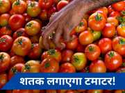Tomato Price: दिल्ली-एनसीआर में सब्जियों के दाम बढ़ें! कितने का बिक रहा है टमाटर? जानें