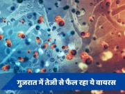 Chandipura Virus: गुजरात में तेजी से फैल रहा यह खतरनाक वायरस, जानें क्या है इसका लक्षण और इलाज 