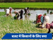 Union Budget 2024: मोदी 3.0 के पहले बजट में किसानों के लिए क्या रहा खास, जानें पूरा अपडेट