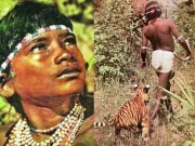 International Tiger Day story of bastar boy chendru film the jungle saga won oscar