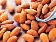 almonds is harmful for health if you eat wrong way by sadhguru 