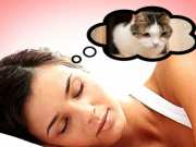 Cat appears repeatedly in dreams swapna shastra meaning in dream science