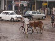 Rajasthan Weather Update: राजस्थान में फिर बदलेगा मौसम का मिजाज, अगले दो दिनों तक इन शहरों में जमकर बरसेंगे बादल 