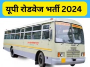 UP Roadways Bharti 2024: यूपी रोडवेज में ड्राइवर और कंडक्टर के पदों पर बंपर भर्ती, जानिए कब आएगा नोटिफिकेशन