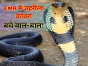 Jaipur news poisonous cobra entered CMR then policemen deployed for security came in handy