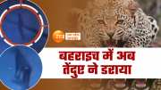 bahraich amidst the fear of wolf leopard attacked captured in cctv camera forest department confirmed watch this video