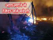 Pratapgarh news tribal farmer cattle shed caught fire