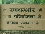 रणथंभौर नेशनल पार्क में एक कैंटर पर मधुमक्खियों ने किया हमला, 22 लोग घायल 