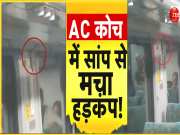 Janshatabdi Express: रेल के AC कोच में बैठे थे नाग देवता, यात्रियों में मच गया हड़कंप; जानिए फिर क्या हुआ?