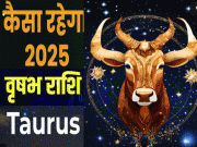 VRISHABH Rashifal 2025 : साल 2025 में कम मेहनत में ज्यादा तरक्की पाएंगे वृषभ राशि के लोग, चट मंगनी और पट ब्याह के बनेंगे योग