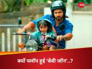 क्यों फ्लॉप हुई वरुण धवन की ‘बेबी जॉन’? राजपाल यादव ने खोला बड़ा राज; बोले- ‘फिल्म इसलिए नहीं चली, क्योंकि...’