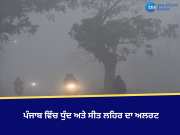 Punjab Weather Update: ਪੰਜਾਬ ਵਿੱਚ ਧੁੰਦ ਅਤੇ ਸੀਤ ਲਹਿਰ ਦਾ ਅਲਰਟ, ਦੋ ਦਿਨਾਂ ਤੱਕ ਮੀਂਹ ਦੀ ਸੰਭਾਵਨਾ