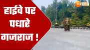 dehradun elephant reached on highway near lachhiwala toll plaza traffic stopped people pani watch this video