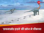 166 मिलियन साल पुराने &#039;डायनासोर हाइवे&#039; की खोज, इंग्लैंड में लगभग 200 प्रिंट्स मिले; वैज्ञानिकों के होश उड़े