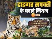 Pilibhit Tiger Reserve News: अब टाइगर देखने की हसरत रहेगी अधूरी! पीलीभीत टाइगर रिजर्व में बदल गए ये नियम