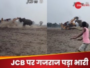 Watch: गजराज का गुस्सा पड़ा भारी, JCB मशीन को हिला डाला, वीडियो देख भौचक्के रह गए लोग!