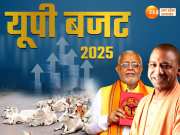 UP Budget 2025: आवारा पशुओं पर मेहरबान योगी सरकार, पहचान के लिए टैगिंग होगी, गोवंश संरक्षण के लिए बजट में दो हजार करोड़