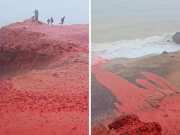 Blood Rain: क्या है &#039;खून की बारिश&#039;? ईरान में रहस्यमयी घटना के बाद बीच का रंग हुआ लाल; हैरान हुई दुनिया