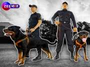 हमास के लड़ाकों का शिकार करेंगे &#039;K9 DOG&#039;, कारनामे जान लेंगे तो नहीं कहेंगे मामूली कुत्ते!