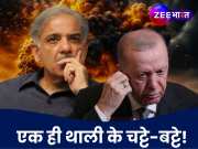 चोर-चोर मौसेरे भाई! तुर्की का हाल भी डिट्टो पाकिस्तान जैसा, एक्सपर्ट ने खोल दी कलई