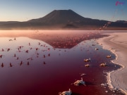 दुनिया की सबसे जानलेवा झील, महज छूने से जानवरों को बना देती है पत्थर; जानें असली कहानी दुनिया की सबसे जानलेवा झील, महज छूने से जानवरों को बना देती है पत्थर; जानें असली कहानी