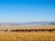 नीले आसमान की धरती कहलाता ये देश, नहीं पहुंच पाती यहां बादलो की भीड़