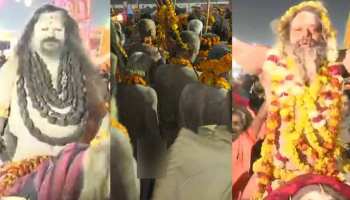 LIVE: कुंभ में चल रहा है मकर संक्रांति का पहला शाही स्नान, 1 बजे तक डेढ़ करोड़ लोगों ने लगाई आस्था की डुबकी LIVE: कुंभ में चल रहा है मकर संक्रांति का पहला शाही स्नान, 1 बजे तक डेढ़ करोड़ लोगों ने लगाई आस्था की डुबकी