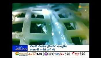 China grown cotton on the moon