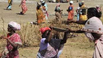 राजस्थान: मनरेगा को लेकर एक्शन में सरकार, लापरवाह अधिकारियों को नोटिस जारी राजस्थान: मनरेगा को लेकर एक्शन में सरकार, लापरवाह अधिकारियों को नोटिस जारी