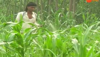 Khabar Jharkhand: important news of Jharkhand (21 January)