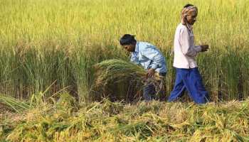 राजस्थान: खेती के लिए सरकार लागू करेगी नई योजना, किसानों को मिलेगी राहत राजस्थान: खेती के लिए सरकार लागू करेगी नई योजना, किसानों को मिलेगी राहत