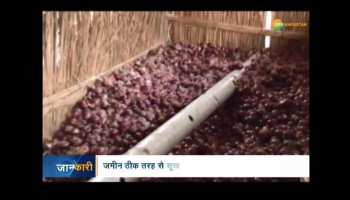 Krishi kranti: Low Cast techniques for crops storage
