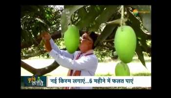 Krishi Kranti: Know about best farming methods