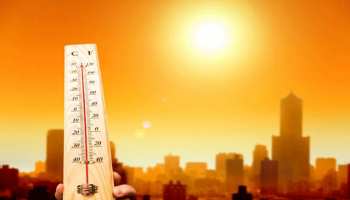 मध्य प्रदेश में हवाओं में नमी कम होने से फिर बढ़ी गर्मी, खरगोन में पारा 46 डिग्री मध्य प्रदेश में हवाओं में नमी कम होने से फिर बढ़ी गर्मी, खरगोन में पारा 46 डिग्री