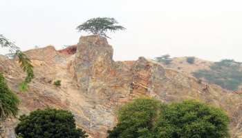 छत्तीसगढ़: पहाड़ी के खनन के विरोध में उतरे आदिवासी, वजह हैं 'पितोड़ रानी' छत्तीसगढ़: पहाड़ी के खनन के विरोध में उतरे आदिवासी, वजह हैं 'पितोड़ रानी'
