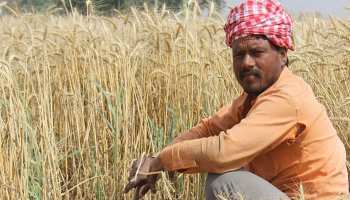 राजस्थान: लाखों किसानों को मिली राहत, ऋण के लिए कर सकेंगे ऑनलाइन आवेदन राजस्थान: लाखों किसानों को मिली राहत, ऋण के लिए कर सकेंगे ऑनलाइन आवेदन