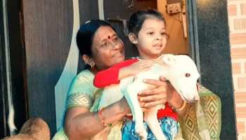 कुत्तों के प्यार में परिवार पहुंचा हाई कोर्ट, बोले- उन्हें हमसे अलग मत करिए कुत्तों के प्यार में परिवार पहुंचा हाई कोर्ट, बोले- उन्हें हमसे अलग मत करिए