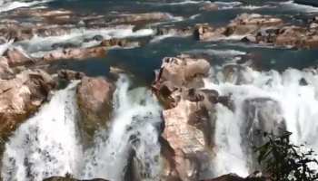 जबलपुरः टूरिस्ट सर्किट में डेवेलप होंगे पर्यटन क्षेत्र, स्थानीय युवा होंगे गाइड जबलपुरः टूरिस्ट सर्किट में डेवेलप होंगे पर्यटन क्षेत्र, स्थानीय युवा होंगे गाइड