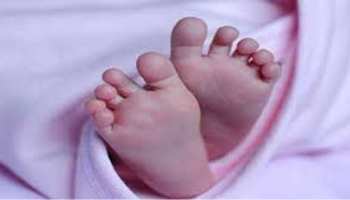 प्रतापगढ़: माता बनी कुमाता, नवजात बच्ची को सूनसान जंगल में छोड़ा प्रतापगढ़: माता बनी कुमाता, नवजात बच्ची को सूनसान जंगल में छोड़ा
