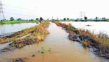 सादुलशहर के इस गांव में घर तक पहुंचने के लिए जनता बना रही नहर से रास्ता सादुलशहर के इस गांव में घर तक पहुंचने के लिए जनता बना रही नहर से रास्ता