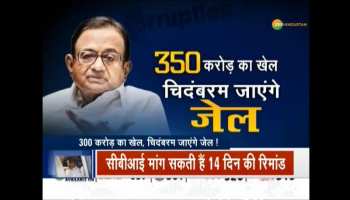 What questions CBI posed before Chidambaram ?