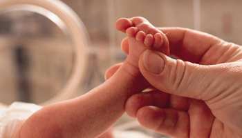 मध्य प्रदेशः नवजात बच्ची को अस्पताल में छोड़ कर गायब हो गई वृद्ध महिला, मचा हड़कंप मध्य प्रदेशः नवजात बच्ची को अस्पताल में छोड़ कर गायब हो गई वृद्ध महिला, मचा हड़कंप