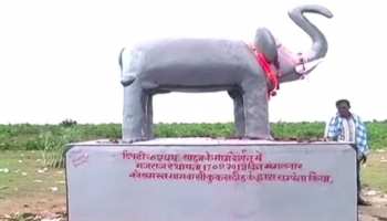 खेतों में खड़ी करवा दी हाथी की मूर्ति, फसलों को बचाने के लिए अपनाया अनोखा आइडिया खेतों में खड़ी करवा दी हाथी की मूर्ति, फसलों को बचाने के लिए अपनाया अनोखा आइडिया