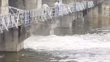 ग्वालियरः 738.50 फीट पहुंचा तिघरा बांध का जलस्तर, जल्द खोले जा सकते हैं गेट ग्वालियरः 738.50 फीट पहुंचा तिघरा बांध का जलस्तर, जल्द खोले जा सकते हैं गेट