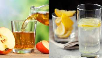 Which is better lemon water or apple cider vinegar for weight loss in hindi